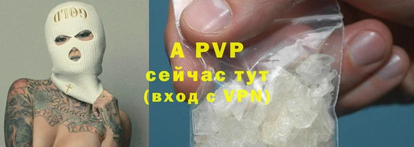 PSILOCYBIN Богородицк