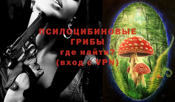 бошки Богородск