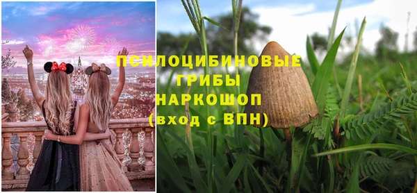 бутират Богданович