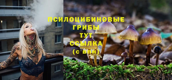 бошки Богородск