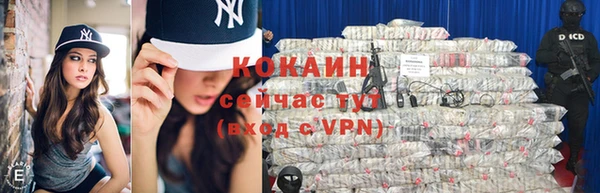 PSILOCYBIN Богородицк