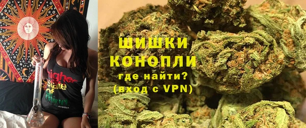 PSILOCYBIN Богородицк