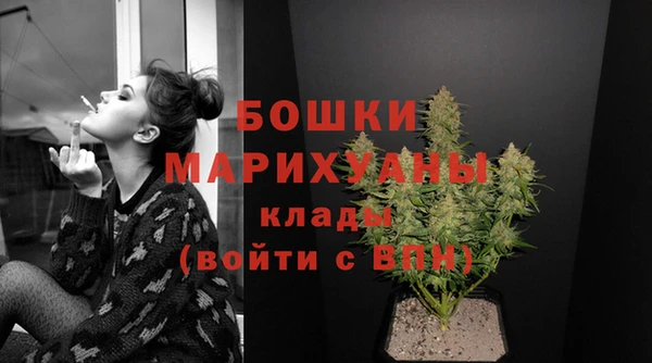 PSILOCYBIN Богородицк