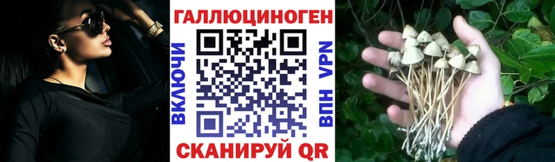 Галлюциногенные грибы GOLDEN TEACHER  Северо-Курильск 